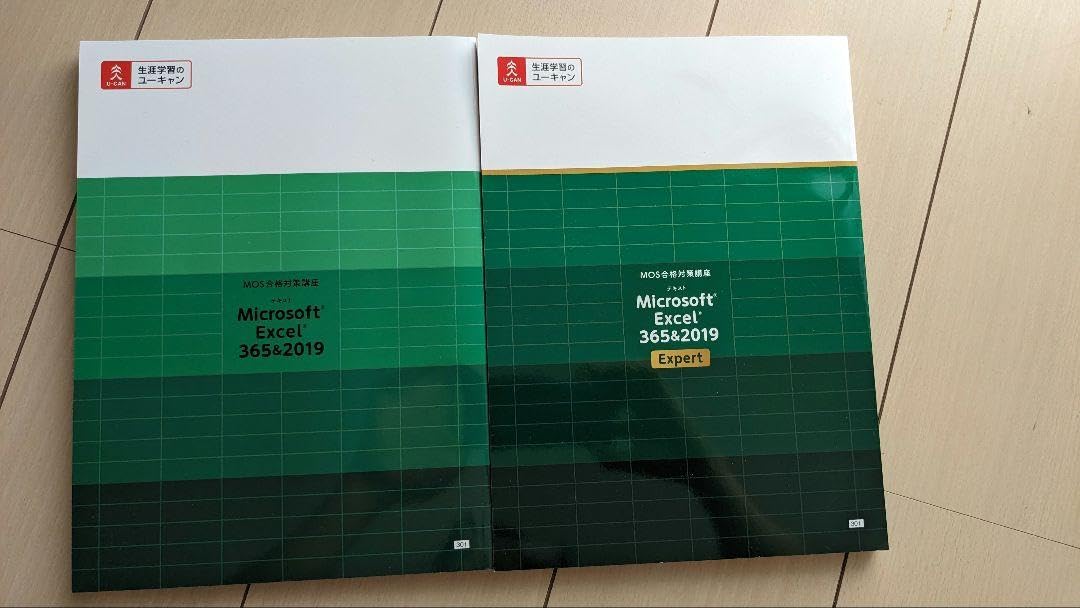 Amazon.co.jp: MOS対策講座 Excel 365 2019一般 上級一貫コース